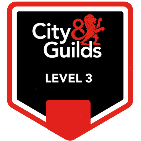 City & Guilds Level 3